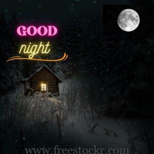 good night meme with moon, night,nature,house, hd wallpaper