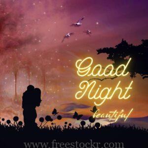 good night meme with beautiful romantic couple kissing, tree, birds, stars, scenery,hd wallpaper