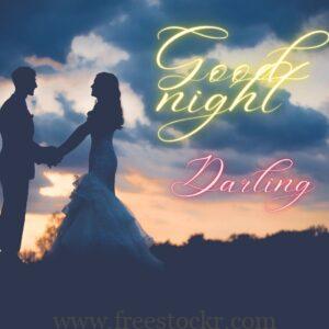 good night meme with romantic mood couple ,sky,romantic mood,night, images