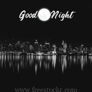 good night meme with dark colour night , city, moon , city near sea