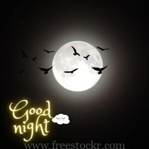 good night meme with beautiful sky,big moon, birds, night,images,hd wallpaper