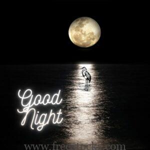 good night meme with beautiful sky,big moon, sea, birds,night,images,hd wallpaper