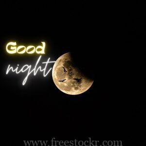 good night meme with big moon,sky,dark,night,brids,images