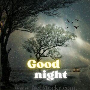 good night meme with scenery,birds,night,forest,car,road,images