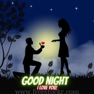 good night meme with couple,romantic,silhouette image