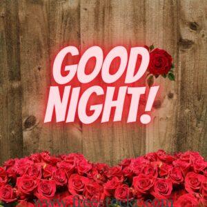 good night meme beautiful rose images,wood wall,hd wallpaper