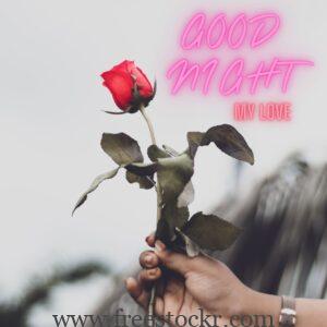 good night meme with hand,rose,hand beautiful holding red rose images,hd wallpaper