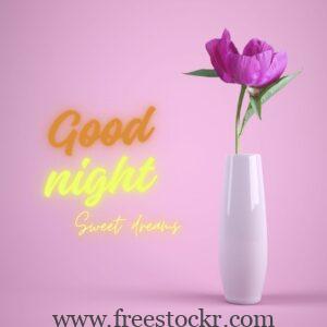 good night meme flower pot hd wallpaper,images