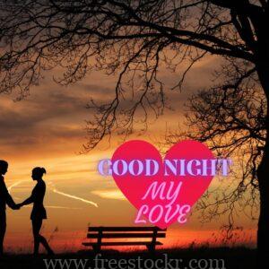 good night meme with beautiful cut couple,sky,tree,beanch,yellow sky,beautiful,images,hd wallpaper