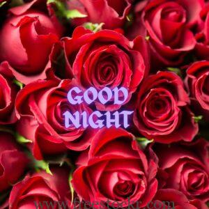 good night meme with roses ,good night rose images,hd wallpaper