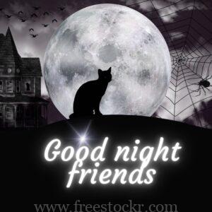 good night meme with black cat looking at the full moon,spider,moon,house,birds,black night,sky,images,hd wallpaper